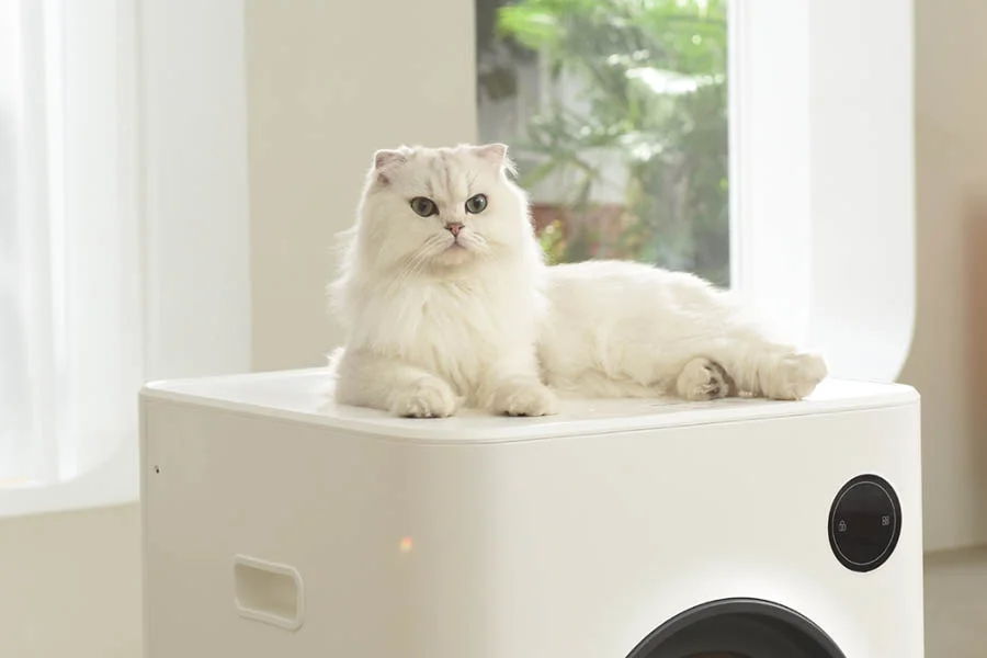 how to clean a cat litter box